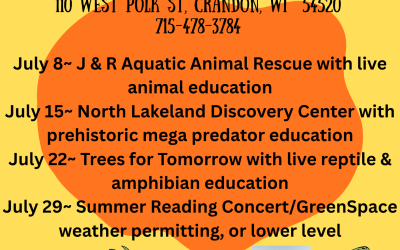 Summer Reading Program 2026 – Unearth a Story